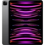 Apple Tablette Ipad Pro 12.9 M2 256Go Gris sidéral